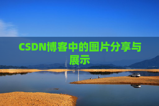 CSDN博客中的图片分享与展示